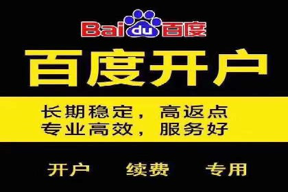 百度SEO推广公司案例汇编：实战技巧全解析